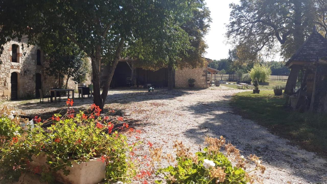 Domaine L'Esprit D'Antan Bed and Breakfast Villeneuve-sur-Lot Eksteriør billede